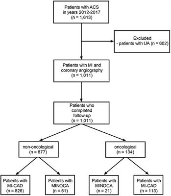 Clinical Characteristics and Long-Term Outcomes of MINOCA Accompanied by Active Cancer: A Retrospective Insight Into a Cardio-Oncology Center Registry